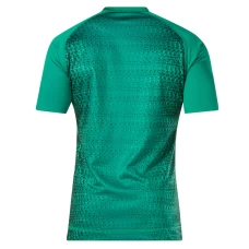 Adult Ireland Irfu 2018/19 Home Pro S/s Rugby Shirt