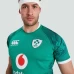 Adult Ireland Vapodri Home Pro Rugby Jersey 2021-22