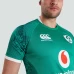 Adult Ireland Vapodri Home Pro Rugby Jersey 2021-22