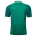 Adult Ireland Rugby 2018 Mens Irfu Vapodri Home Test Jersey