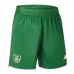 Home Soccer Shorts 2020 2021