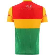 Carlow GAA 2 Stripe Home Jersey 2022