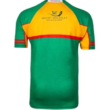 Carlow GAA Away 2-Stripe Jersey 2019