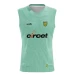 Donegal GAA Training Vest Mint