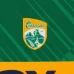 Kerry GAA 2 Stripe Home Jersey 2020