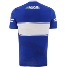 Laois GAA 2-Stripe Home Jersey