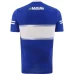 Laois GAA 2-Stripe Home Jersey