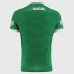 Laois GAA Mens Goalkeeper Jersey 2025