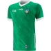 Limerick GAA 2 Stripe Home Jersey 2023