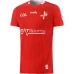 Louth GAA 2-Stripe Home Jersey 2022