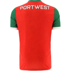 Mayo GAA 2 Stripe Alternative Jersey 2023