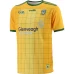 Meath GAA 2 Stripe Hurling Away Jersey 2020