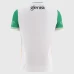 Offaly GAA Mens Alternative Jersey 2025