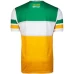 Offaly GAA 2-Stripe Home Jersey 2019