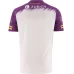 Wexford GAA 2 Stripe Goalkeeper Jersey 2022