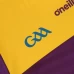 Wexford GAA 2 Stripe Home Jersey 2022