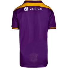 Wexford Gaa Kids 2 Stripe Home Jersey