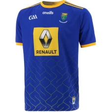 Wicklow GAA 2 Stripe Home Jersey 2021-22