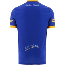 Wicklow GAA 2 Stripe Home Jersey 2022